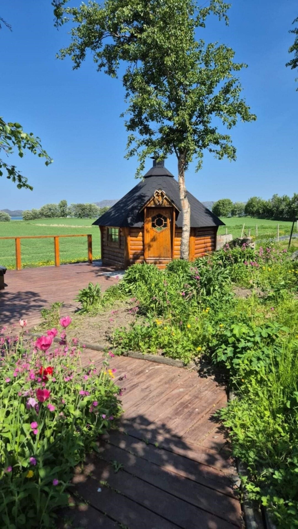 Sommerbilder tatt av selger. Galleribilde