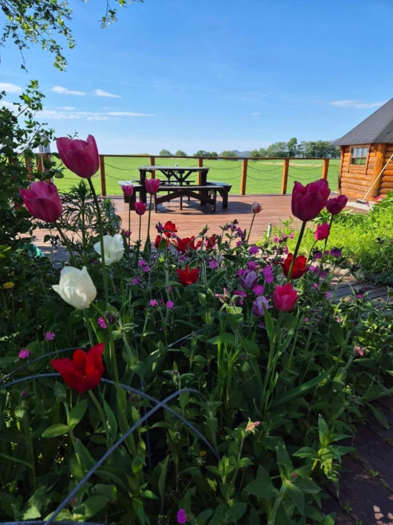 Sommerbilder tatt av selger. Det blir ikke mer idyllisk enn dette! Galleribilde