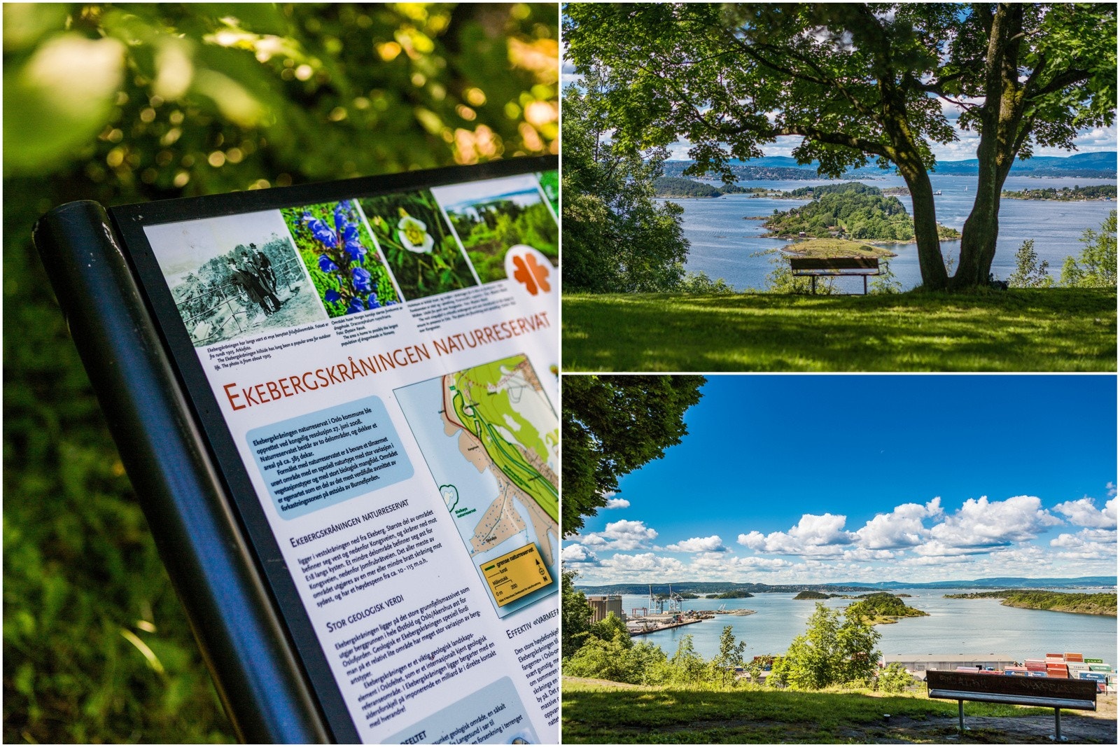Ekebergparken - Naturskjønne omgivelser i nærområdet Galleribilde