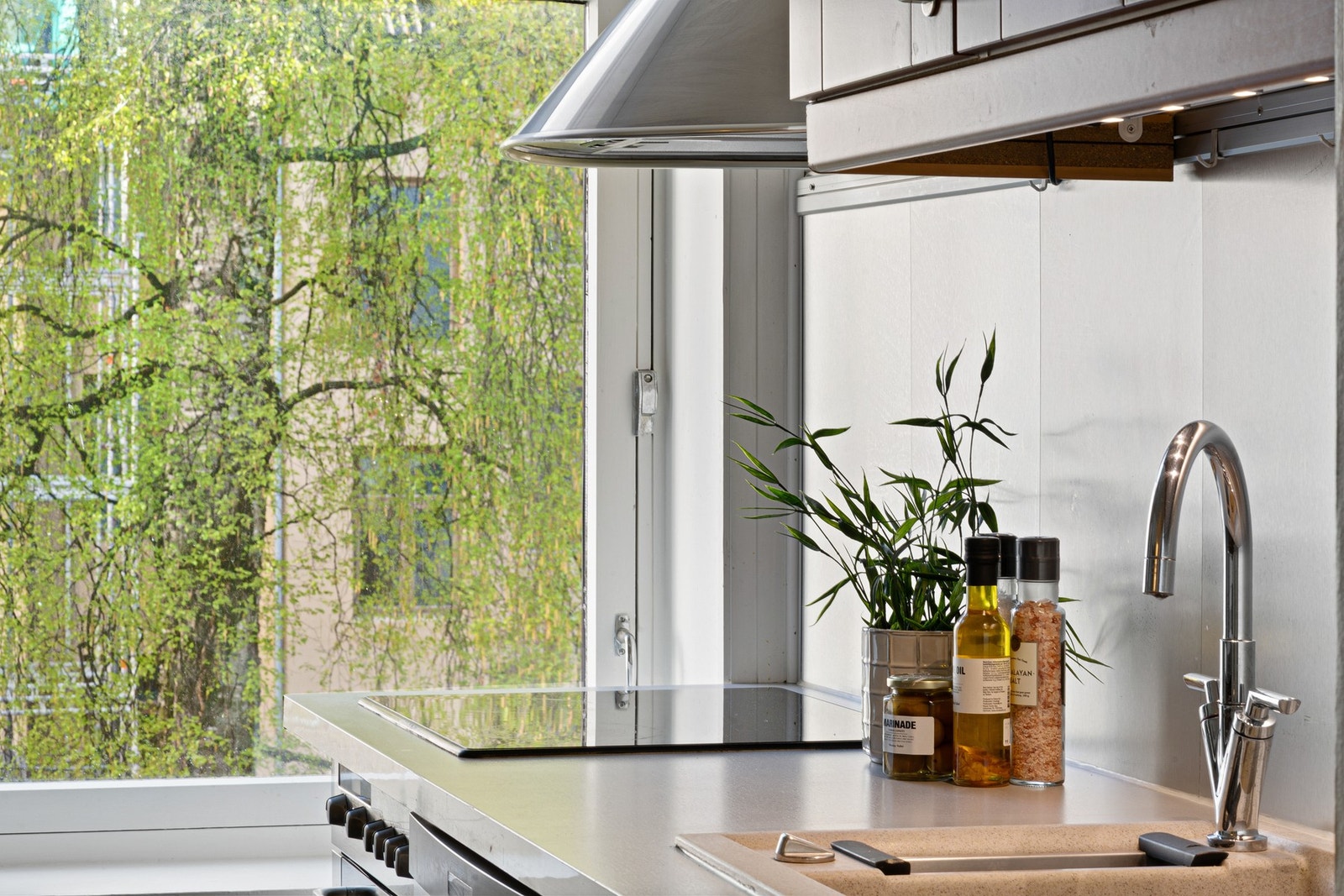 Utsikt mot fredelig bakgård fra kjøkkenvinduet. Galleribilde