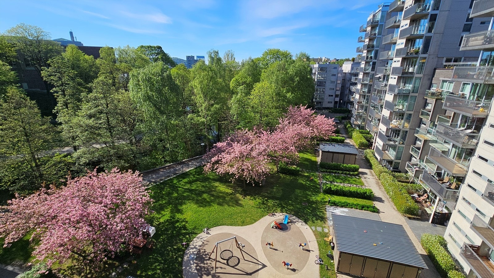 Selgers private bilde. Galleribilde