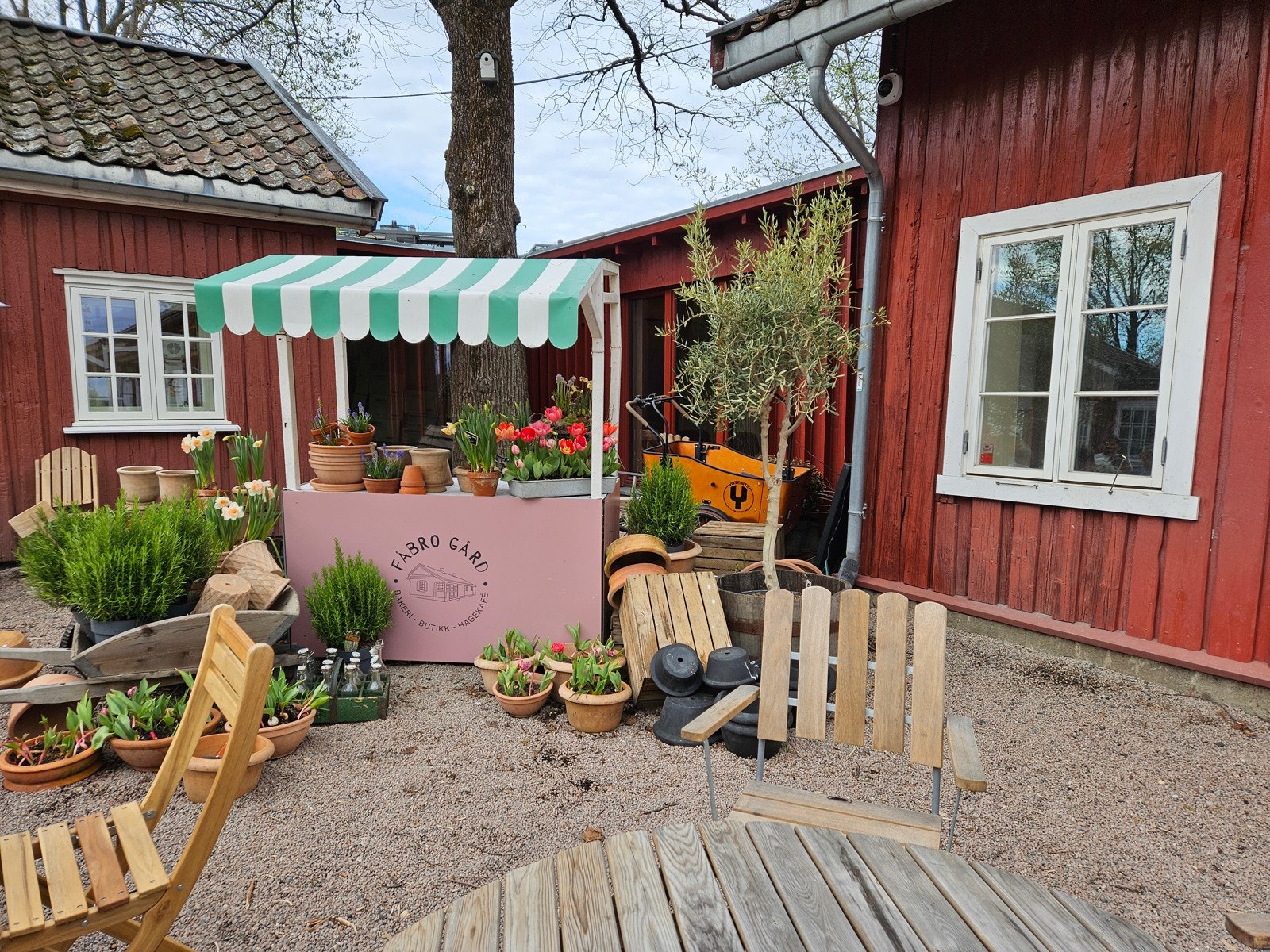 Detaljbilder fra Fåbro gård med salg av frø til hjemmedyrking (fotograf: Rolf Rolid) Galleribilde