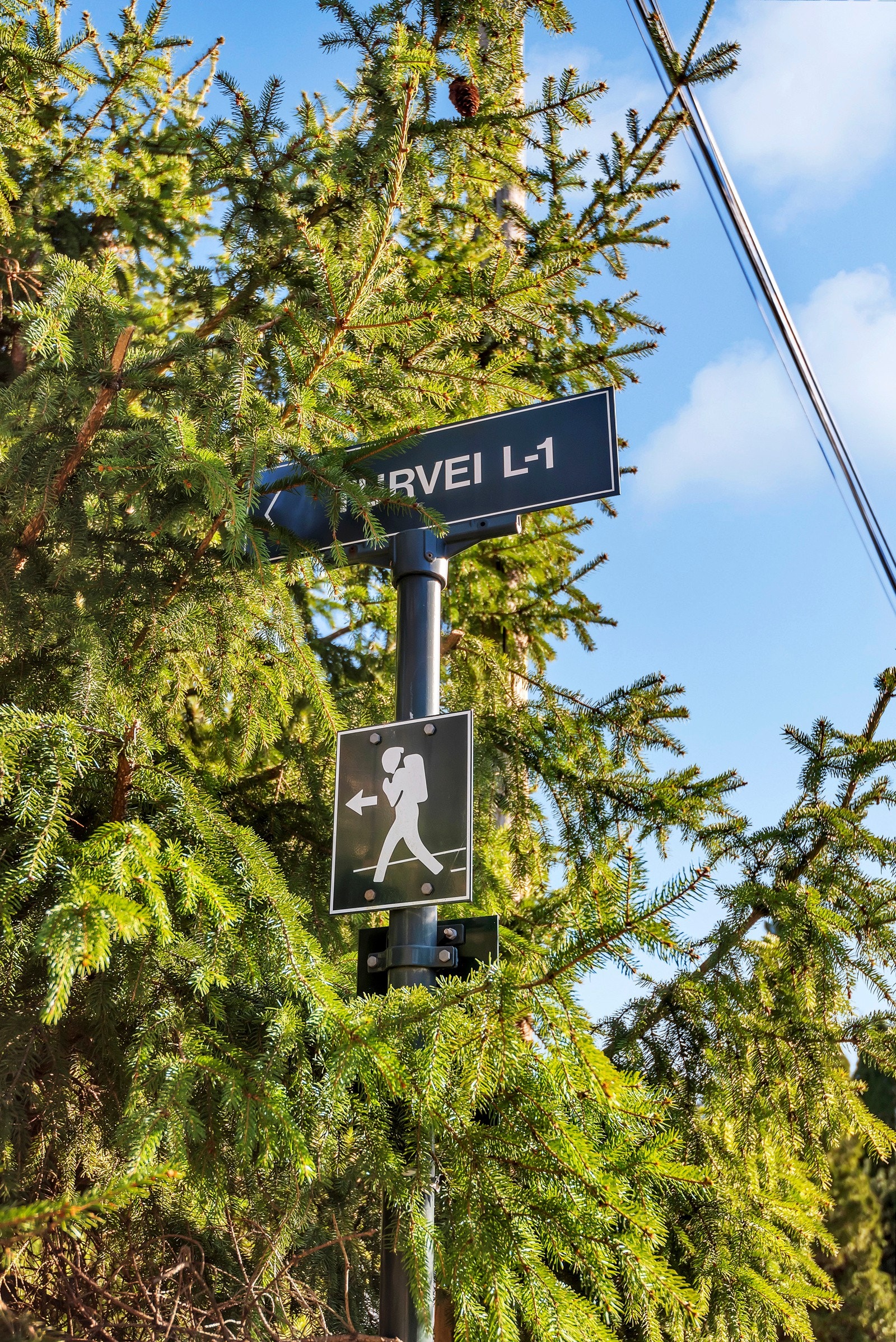 Turvei ved Lysakerelven. Galleribilde
