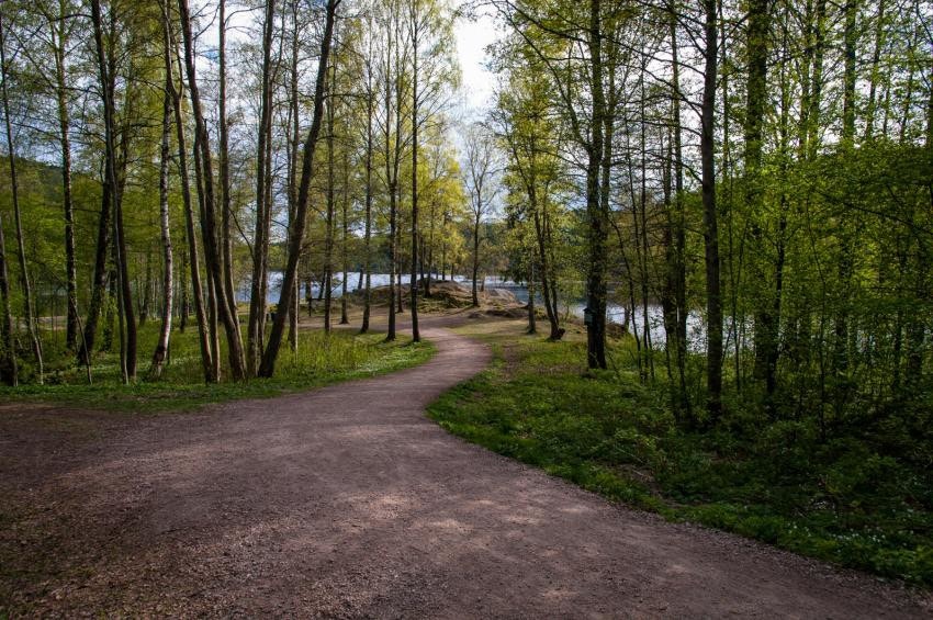 Østmarka har mange alternative turveier. Galleribilde