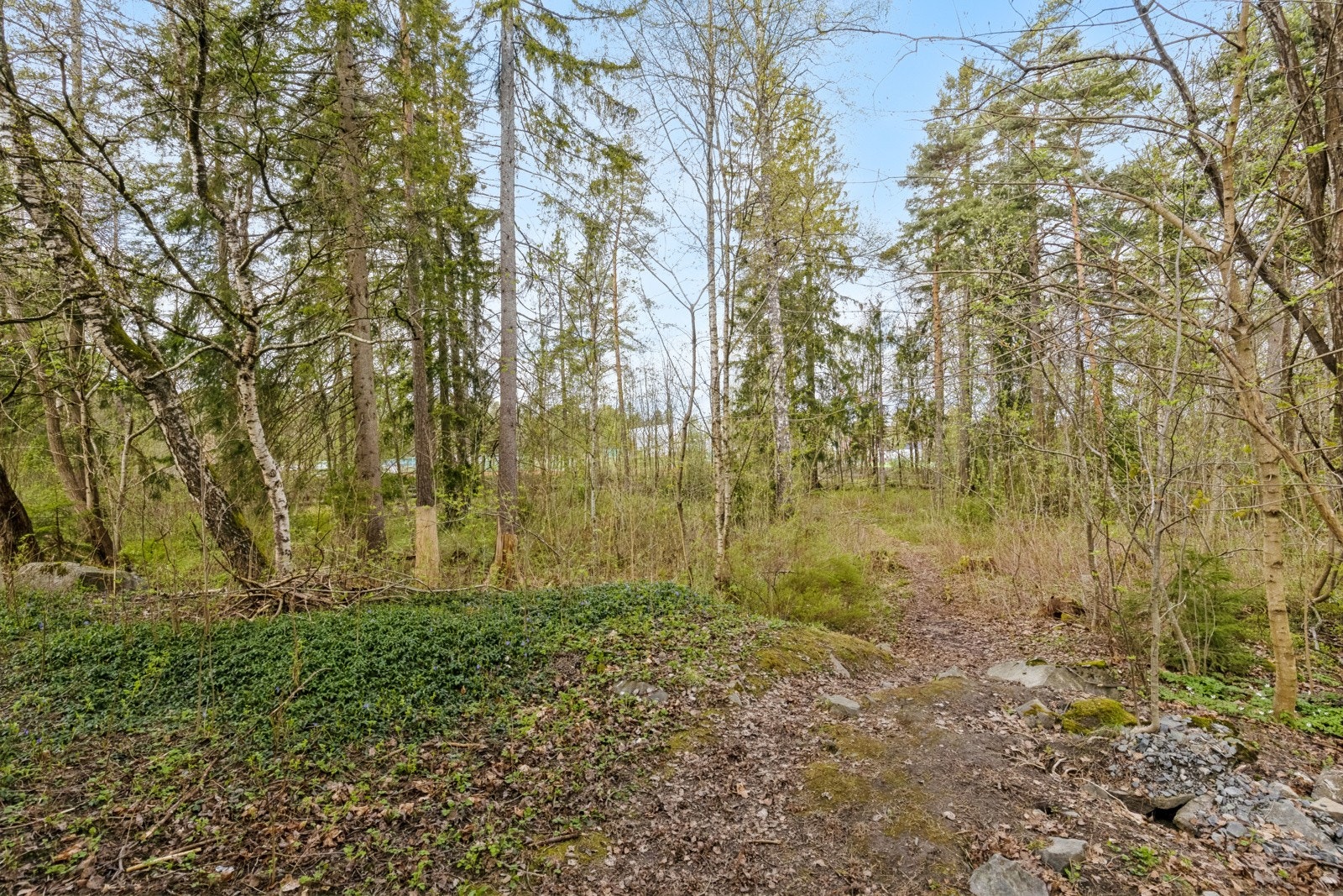 Nærområdet ved blokken. Galleribilde