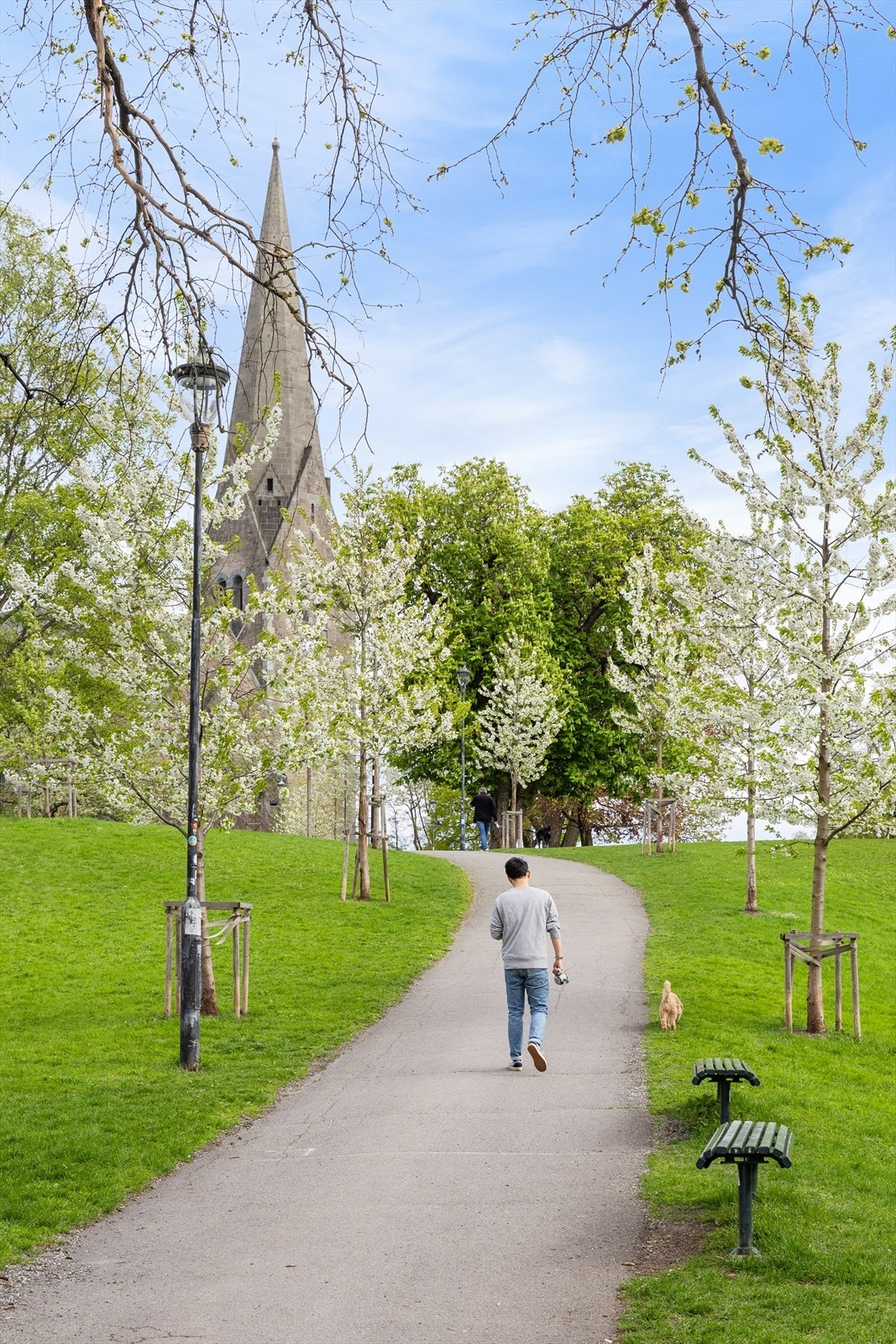 Vålerenga park ved Vålerenga kirke er en av flere grønne lunger i nærområdet. Galleribilde