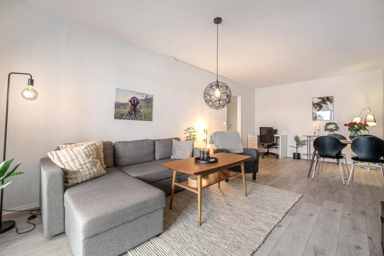 Romslig stue med naturlig plassering av sofa- gruppe og spise-gruppe Galleribilde