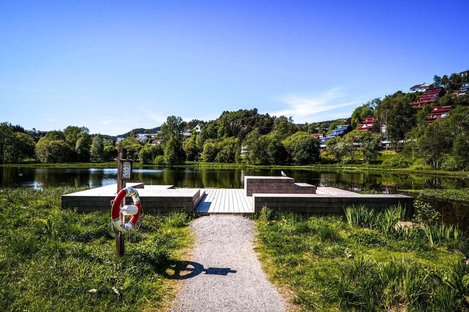 - Kort vei til Lynghaugparken som kan nytes på solfylte dager - Galleribilde