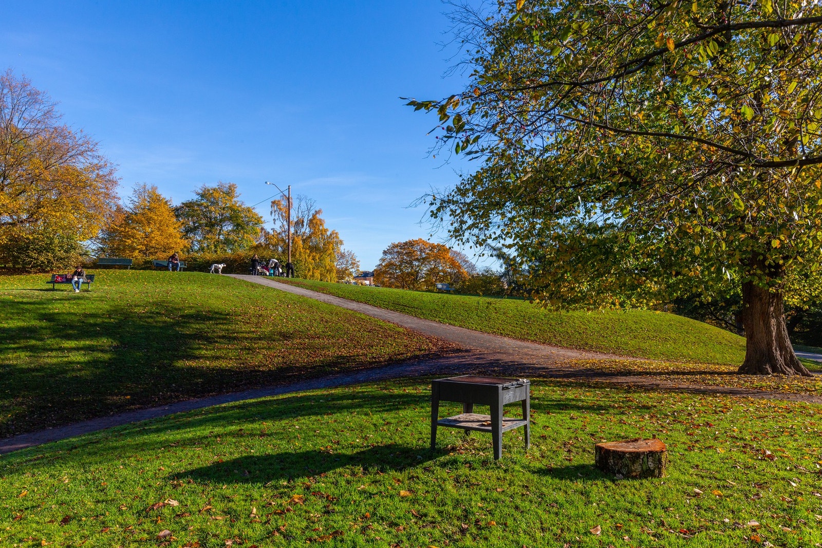 Nærområdet - Hyggelige Stensparken like utenfor døren. Galleribilde
