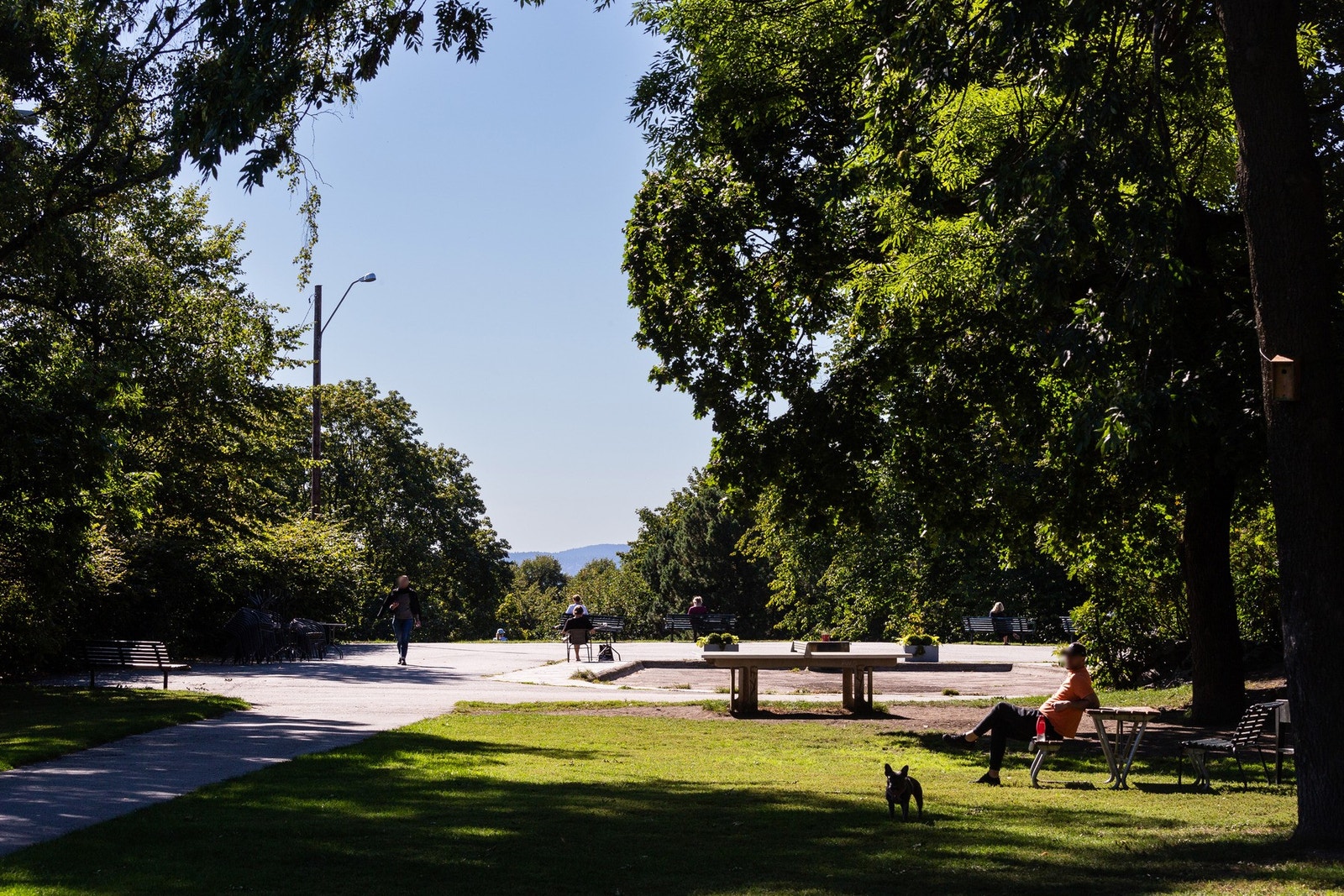 Nærområdet - Stensparken. Galleribilde