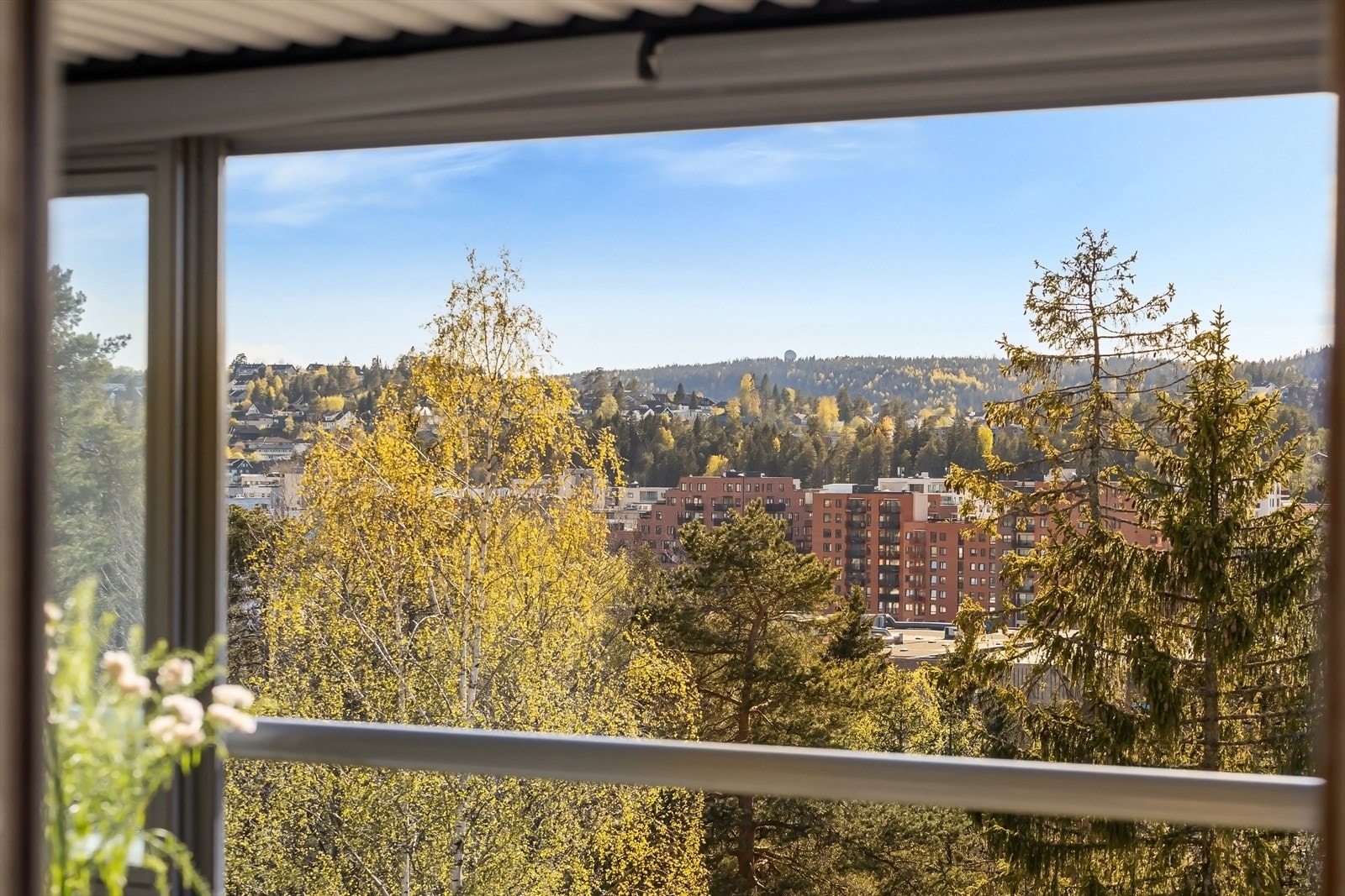 Her har du frodige og grønne omgivelser rett utenfor døren! Galleribilde