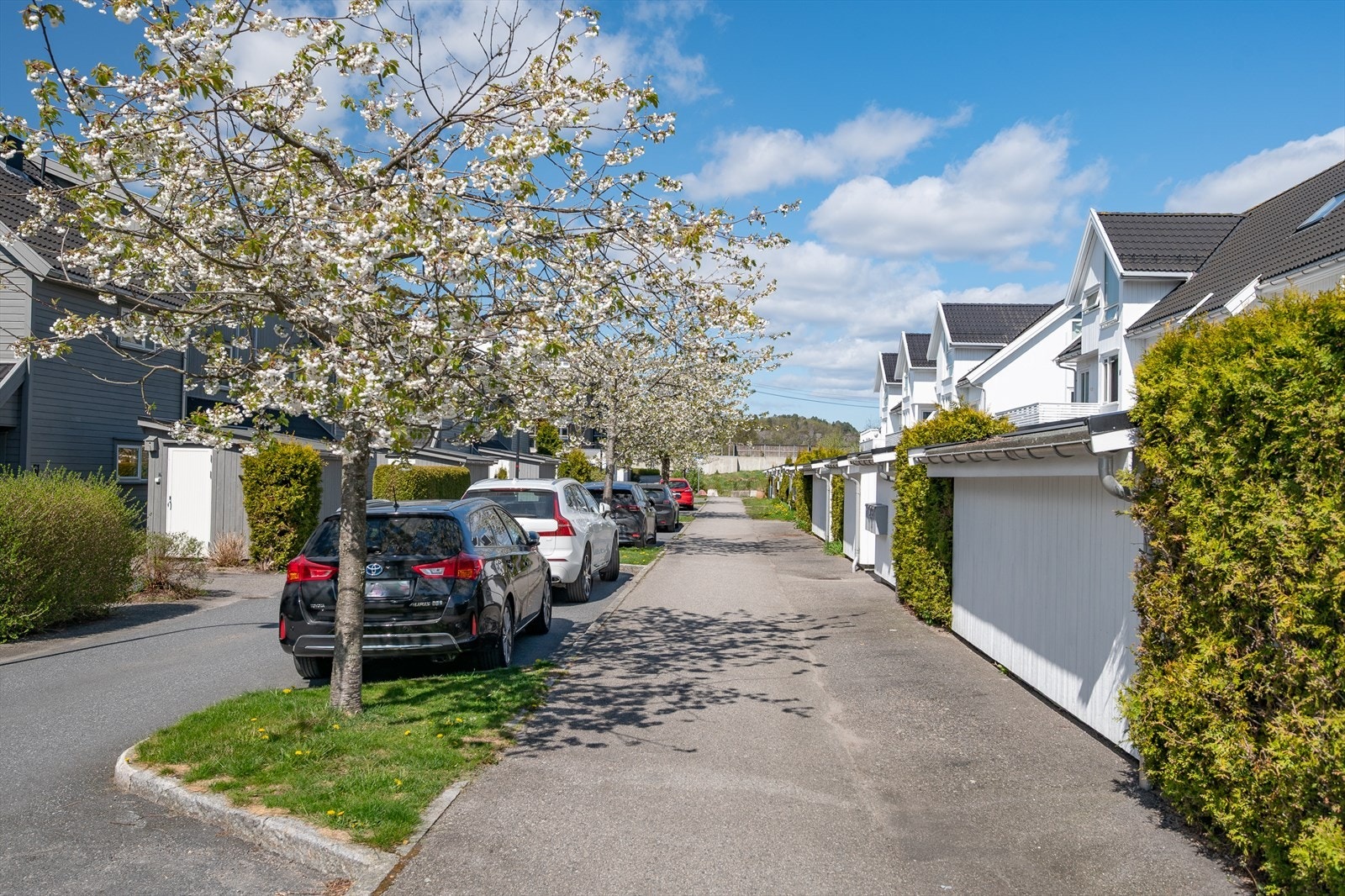 Idyllisk vei/gate foran leilighetsbygget Galleribilde