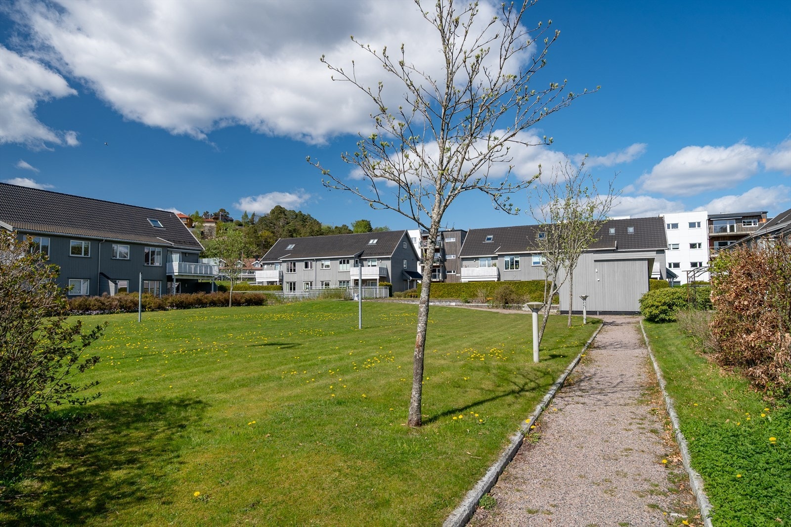 Fra nærområdet Galleribilde