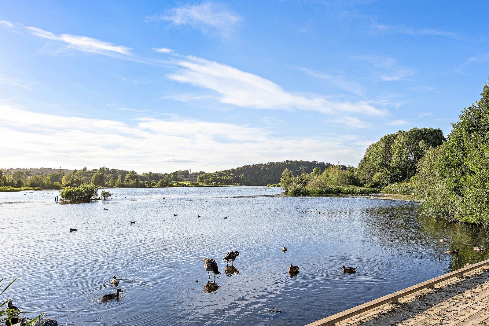 Østensjøvannet er et populært turområde en liten tur unna. Galleribilde