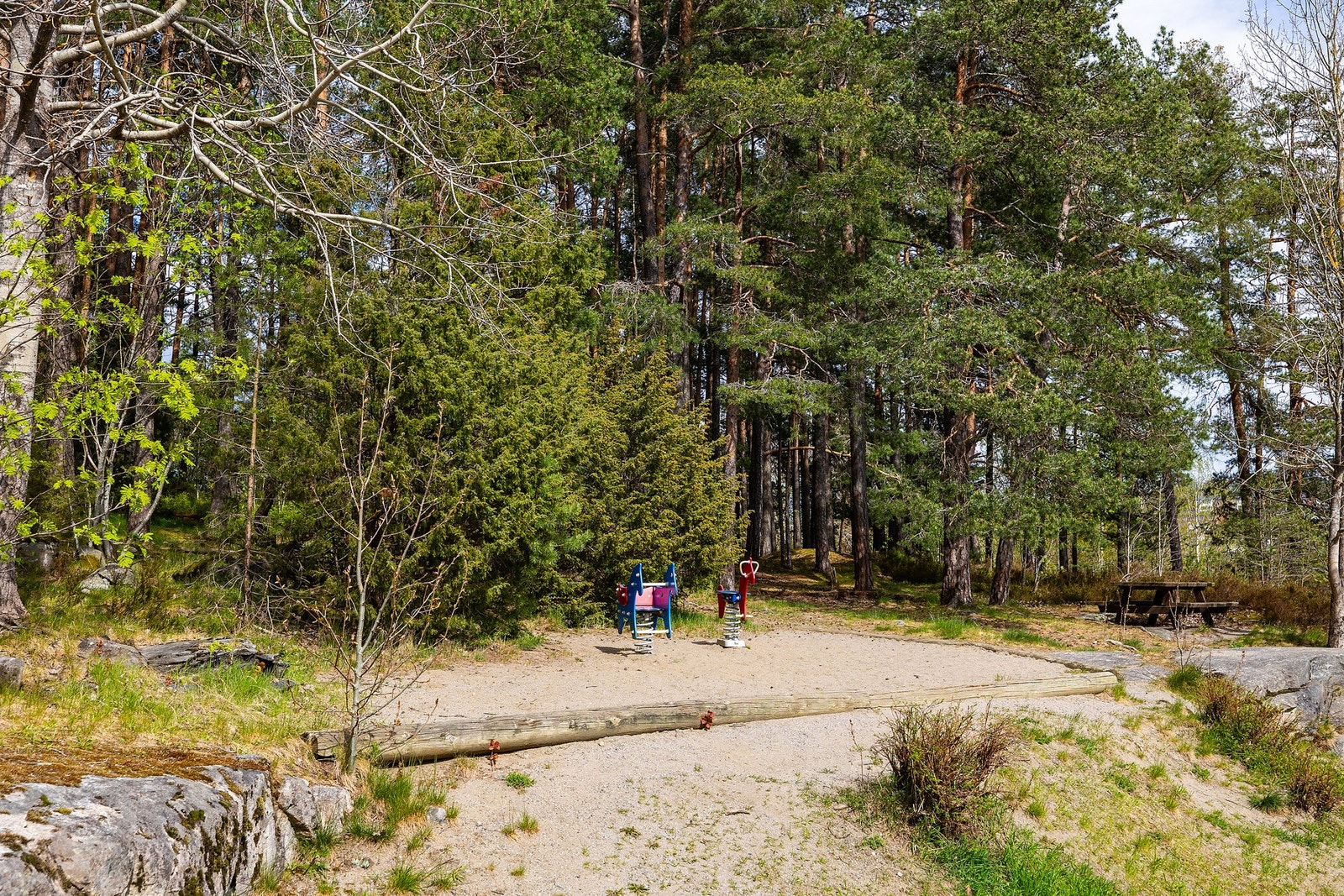 Kort vei til flere tur- og rekreasjonsområder. Galleribilde