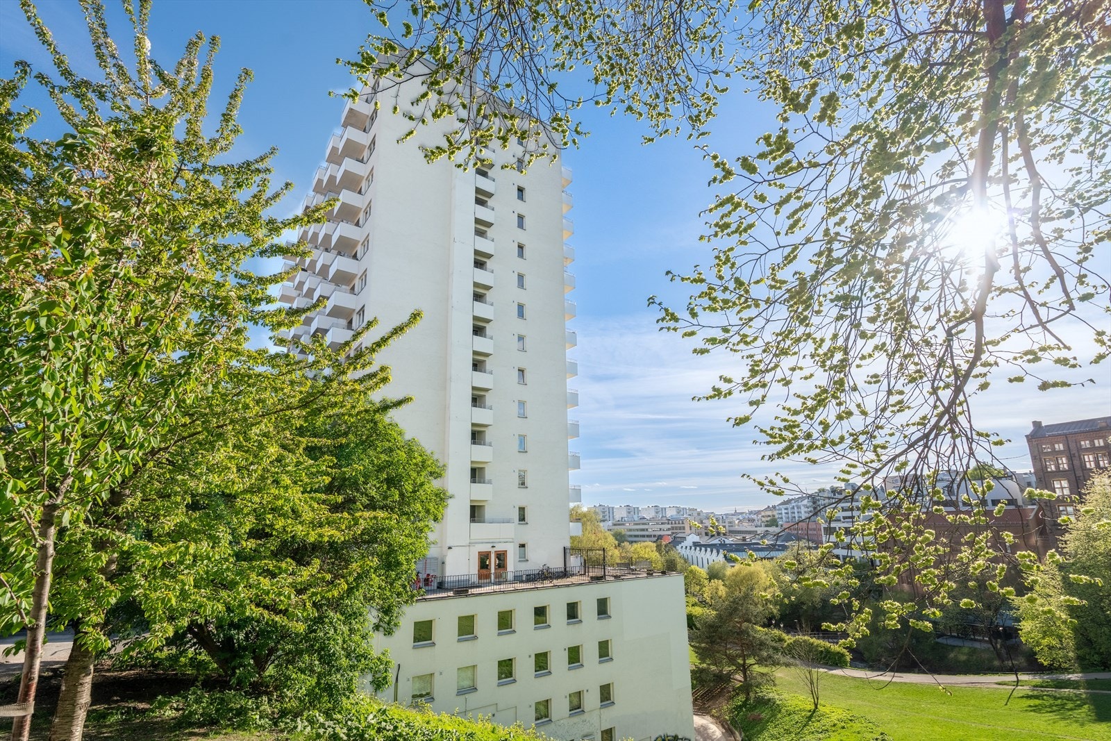 Fasade. Galleribilde