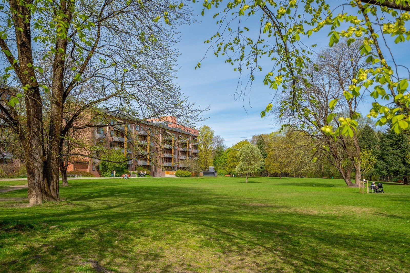 Flere større parker i nærområdet. Galleribilde