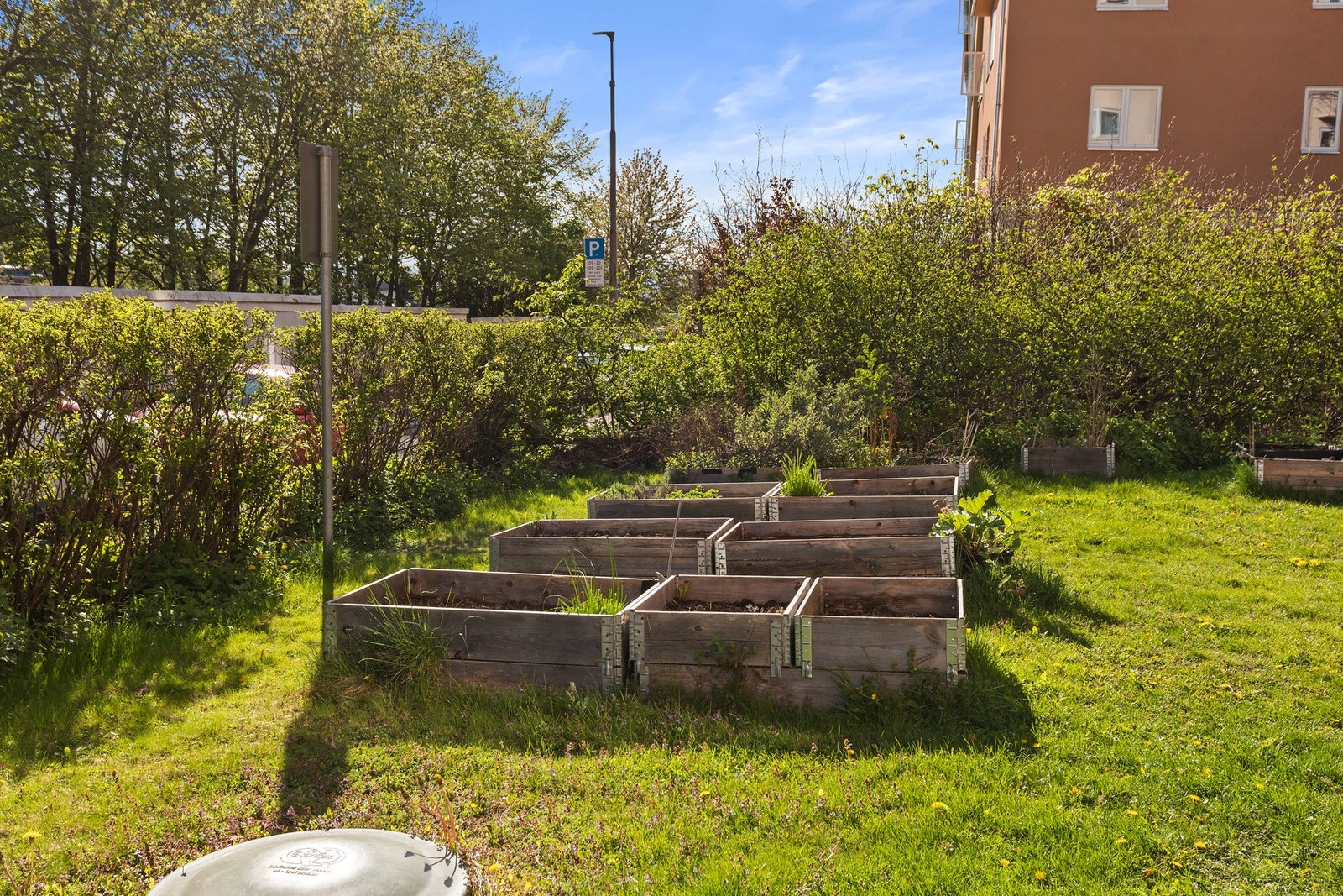 Felles urtekasser for de dyrkeglade Galleribilde