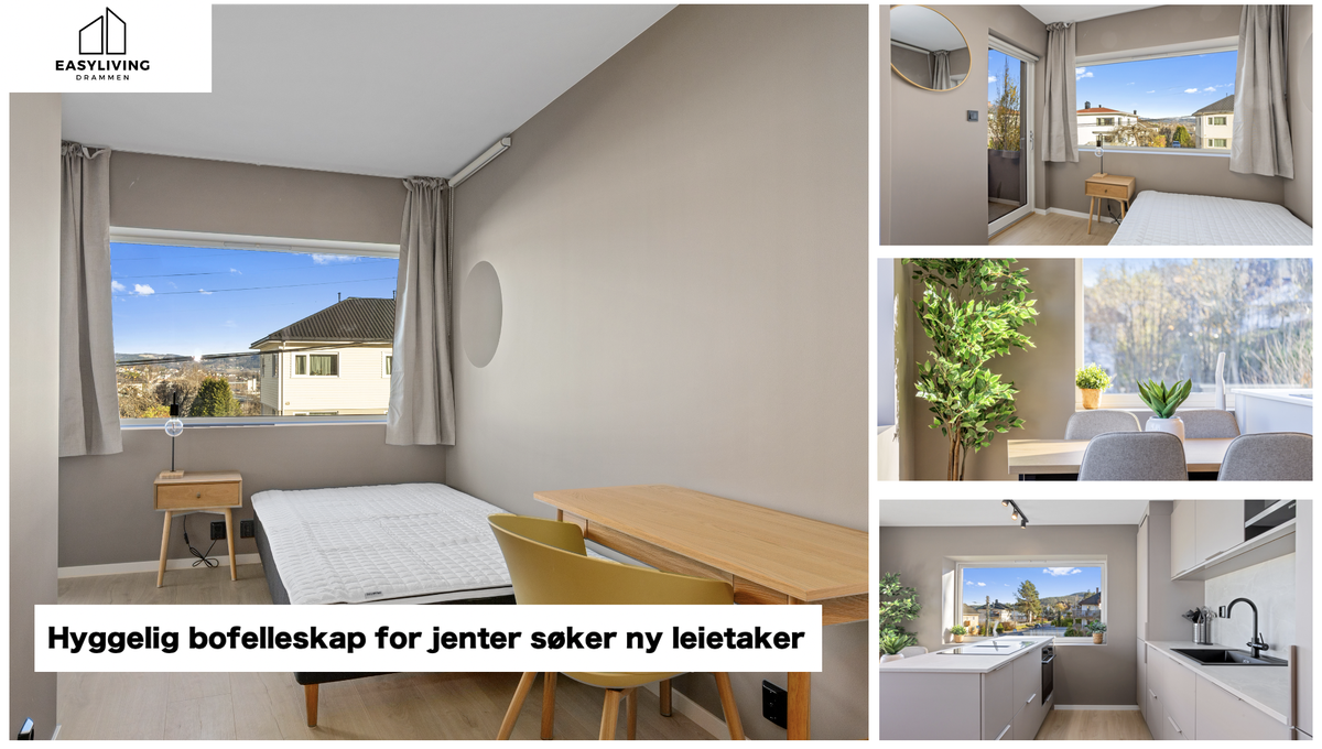 Easyliving er den største private utleieren til studenter/unge i arbeid i Drammen Galleribilde