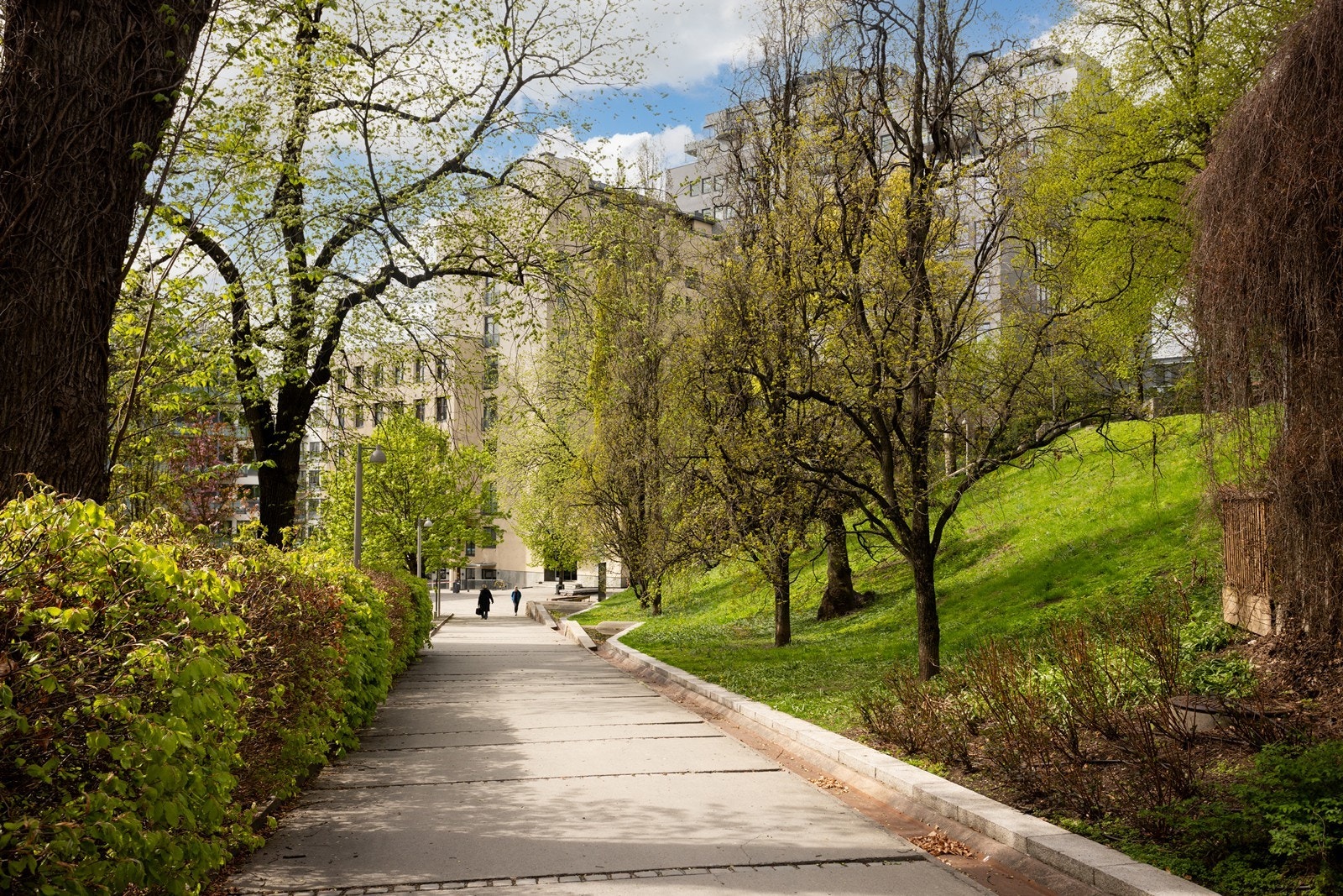 Fra Pilestredet Park er det også kort vei til alt det Oslo har å by på. 2 min gange til St. Hanshaugen med alt av servicefasiliteter, herunder Kaffebrenneriet, Pascal, apotek, spesialforretninger som blant annet "Gutta på Haugen" og Røtter. Galleribilde