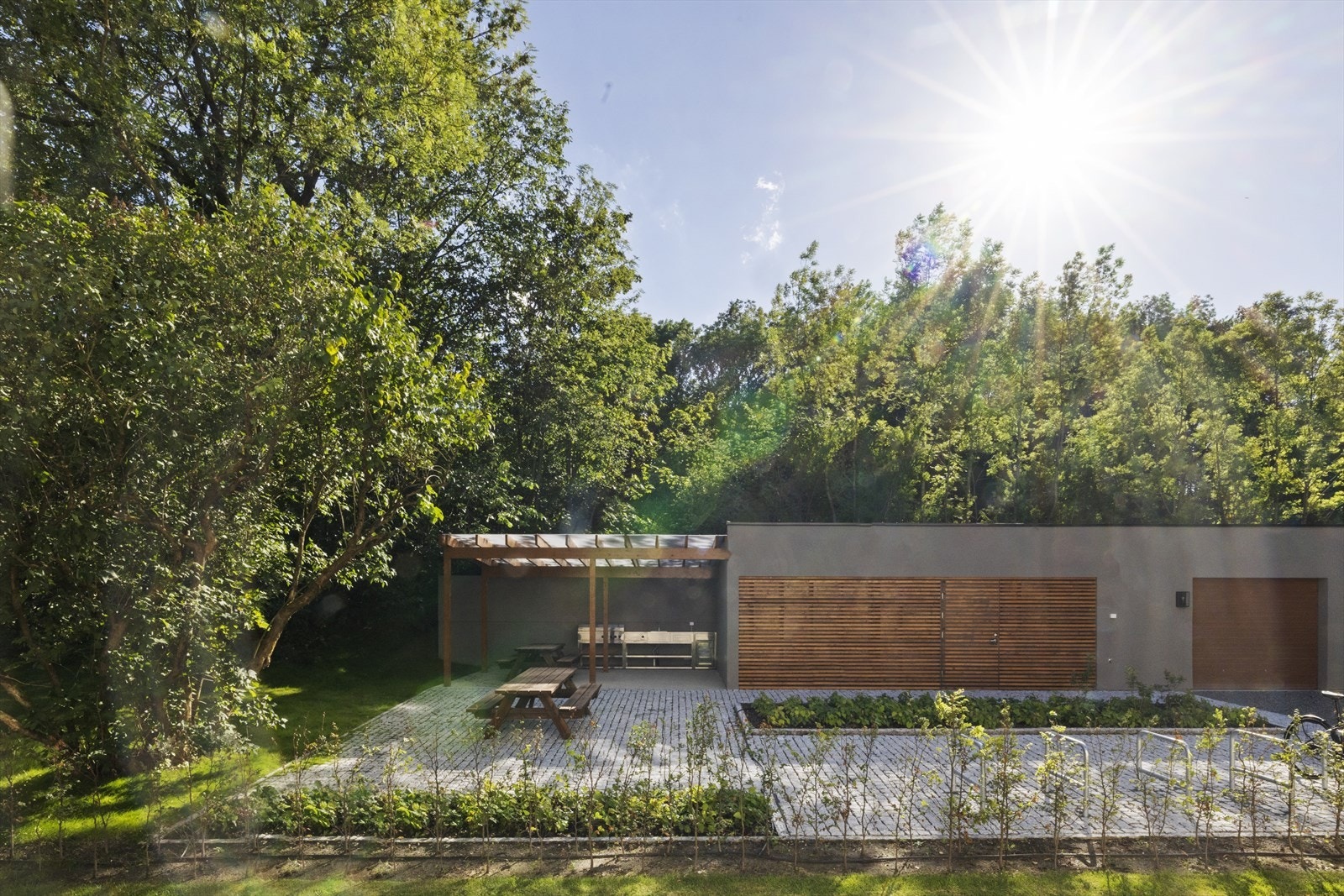 Sen sol i hagedelen som er vendt mot sydvest Galleribilde