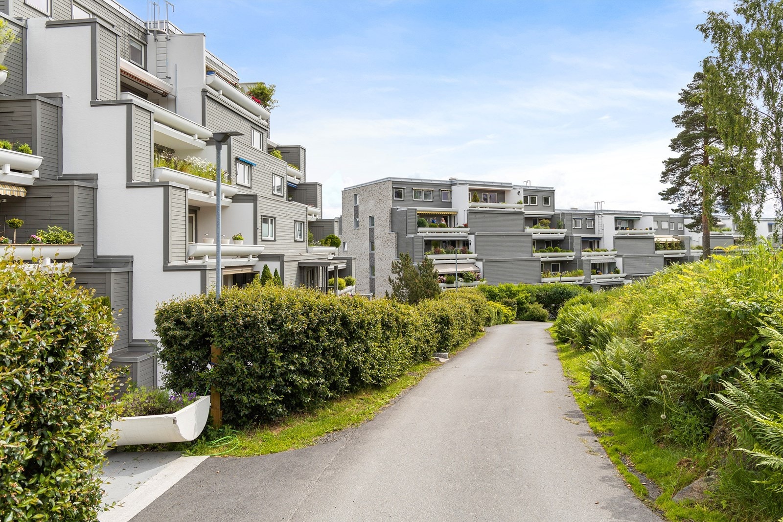 Veldrevet sameie, som har gjennomførte flere store prosjekter og vedlikehold i senere tid Galleribilde