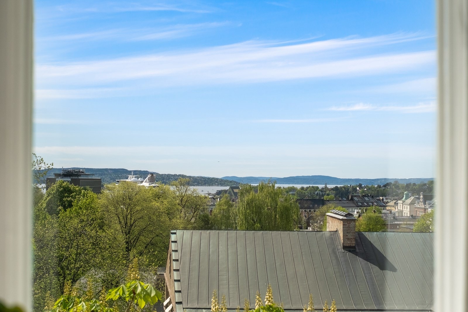 Fantastisk fjordutsikt. Galleribilde