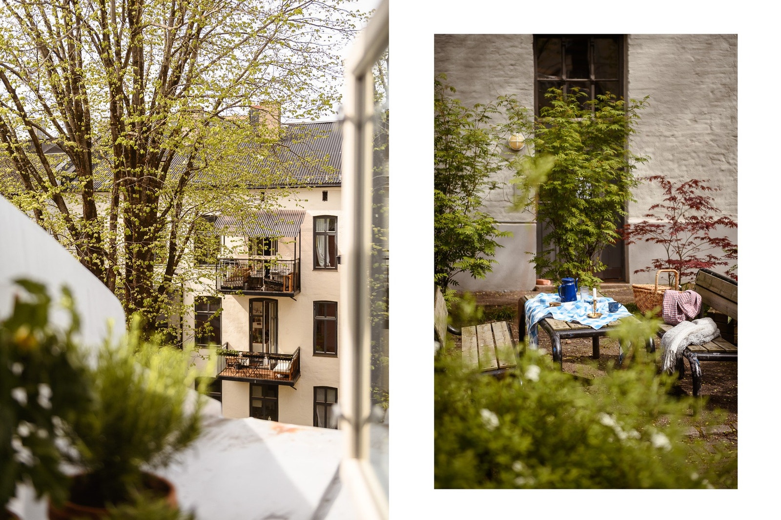 Med vinduene åpne har man fint utsyn til bakgården med høyreiste trær. Karmen gir også fin plass til egne urter. Galleribilde