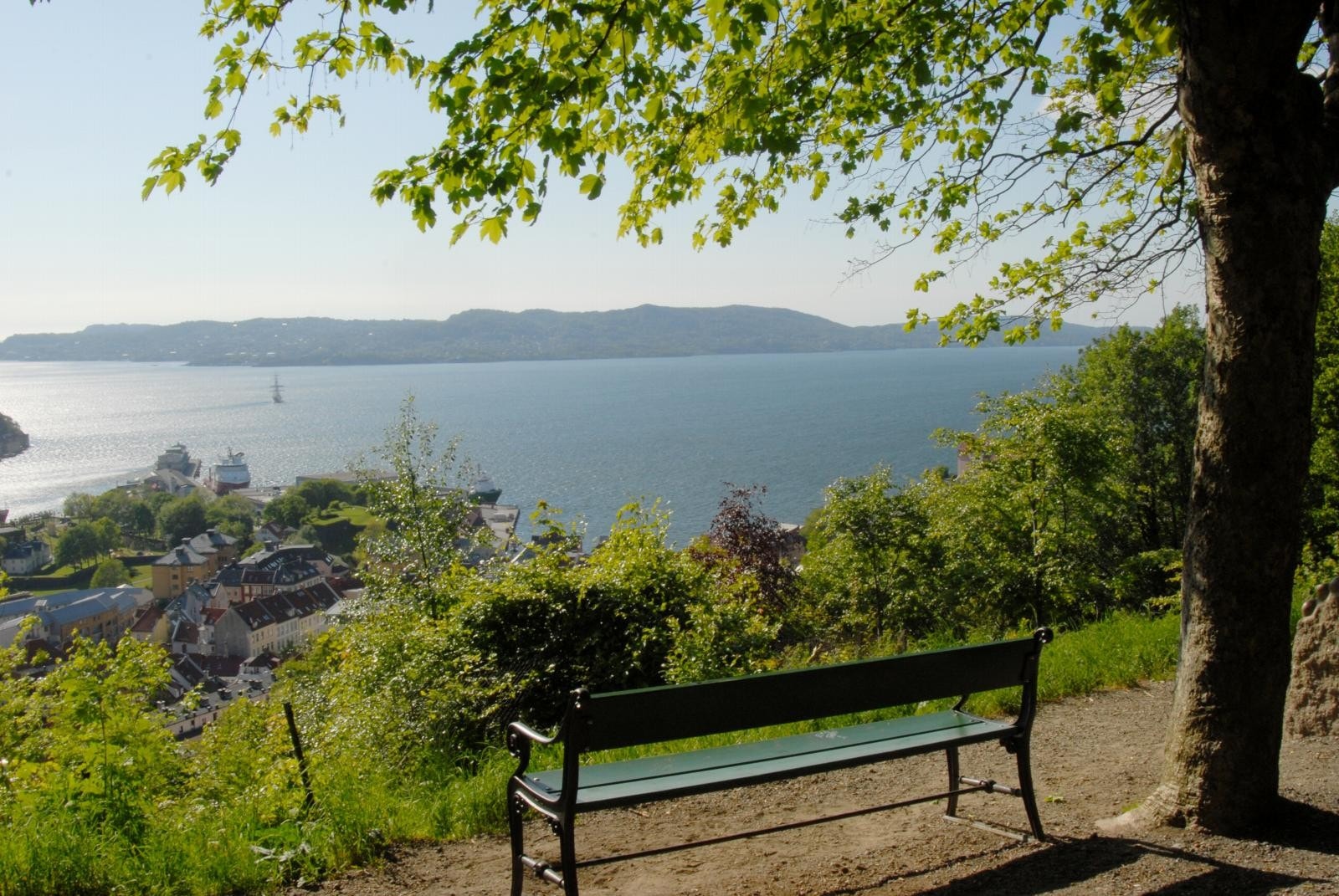 Fjellveien Galleribilde