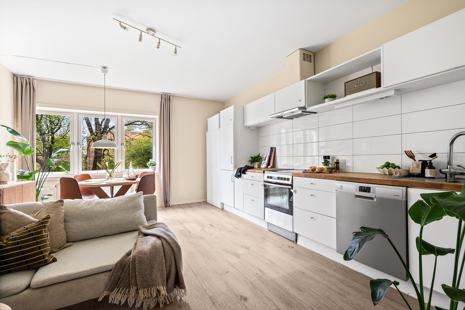 Lys og luftig allrom hvor man vil trives godt. Galleribilde