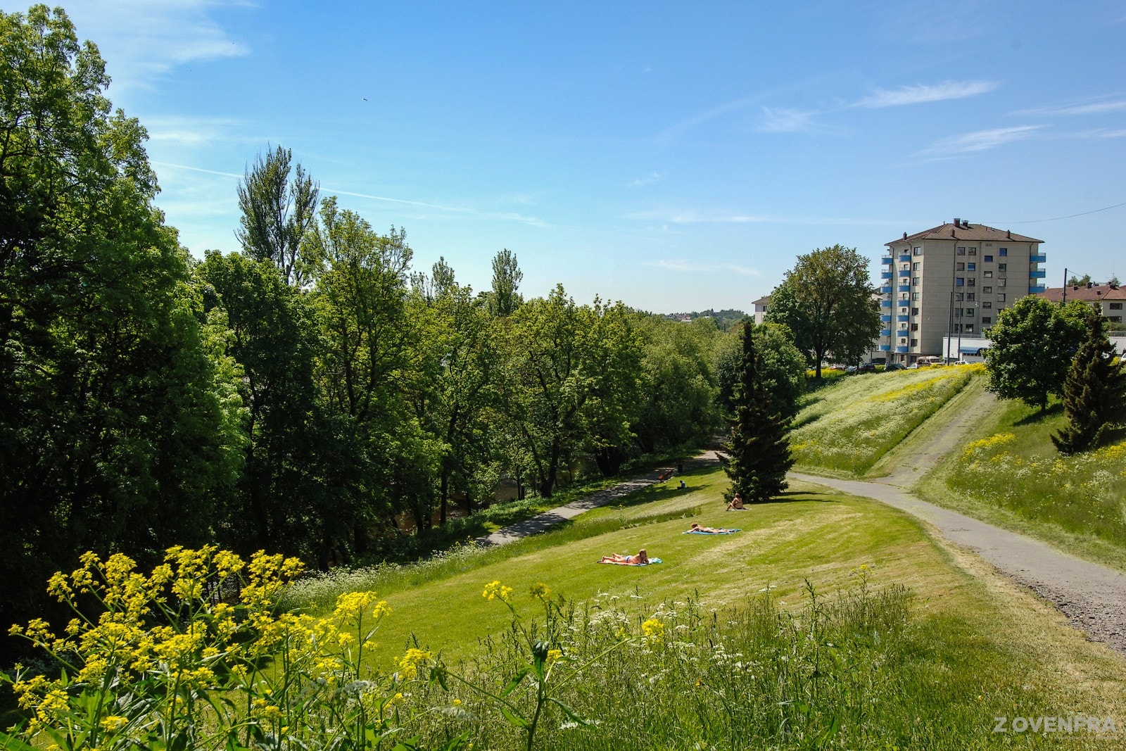 Bjølsenparken er en av mange nærliggende parker. Galleribilde