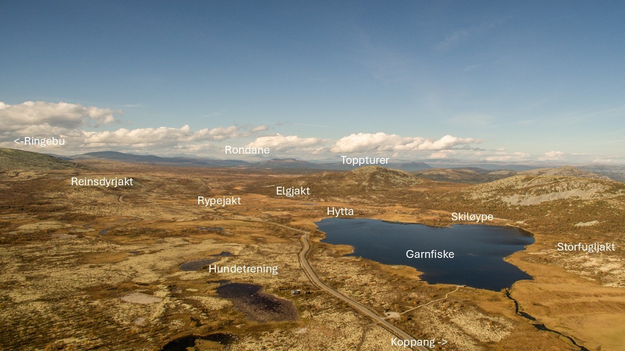 Hytta ligger midt i terrenget og man kan jakte rein, elg, rype og storfugl rett utenfor døra. Galleribilde