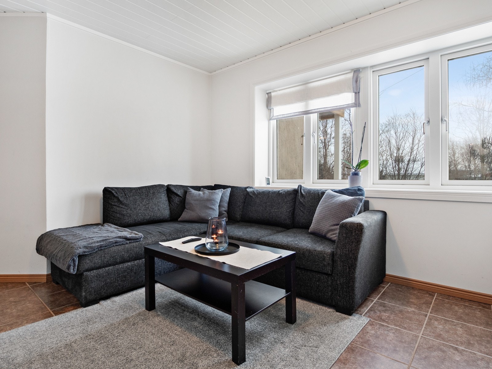 Leilighet 1 - stue Galleribilde