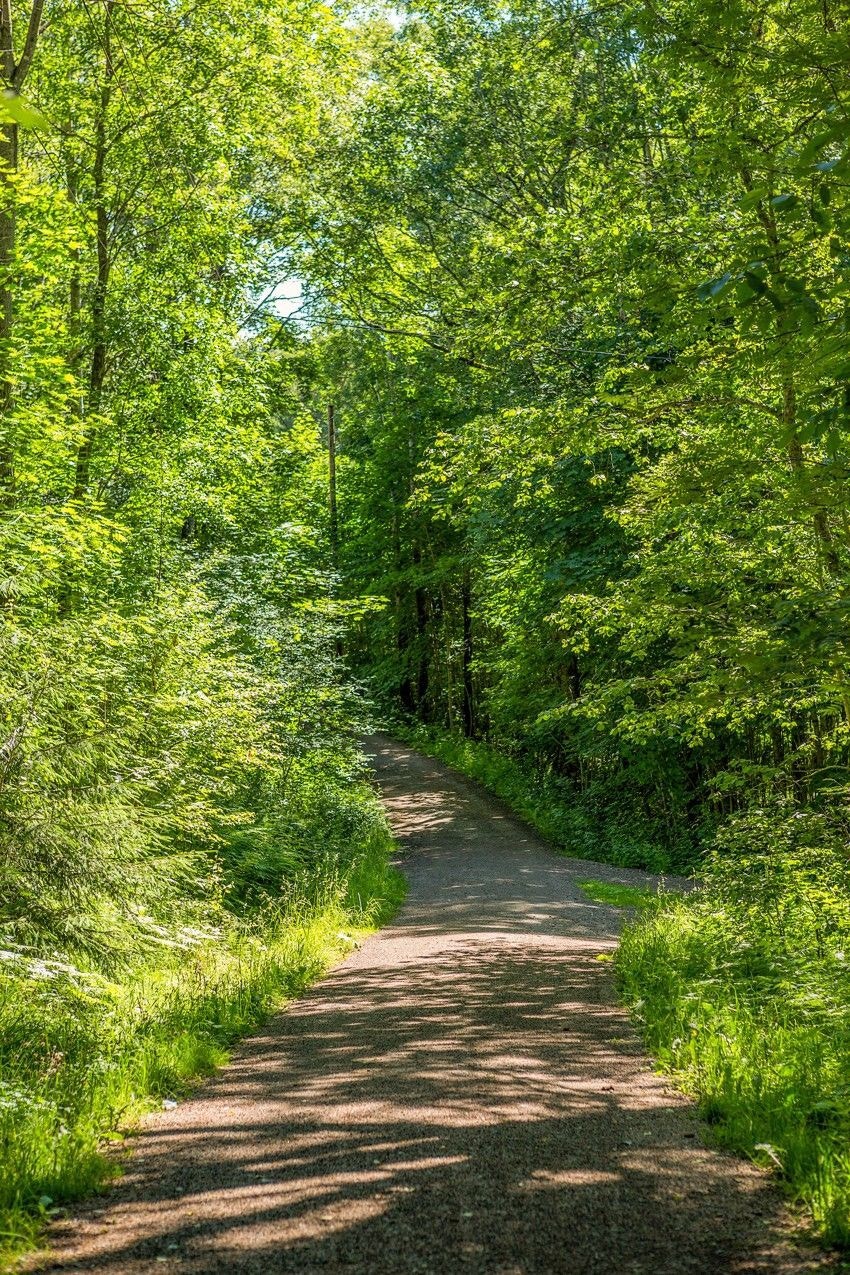 Rundt sørsiden av Lambertseter går det lokal lysløypetursti på ca. 2 km. Galleribilde