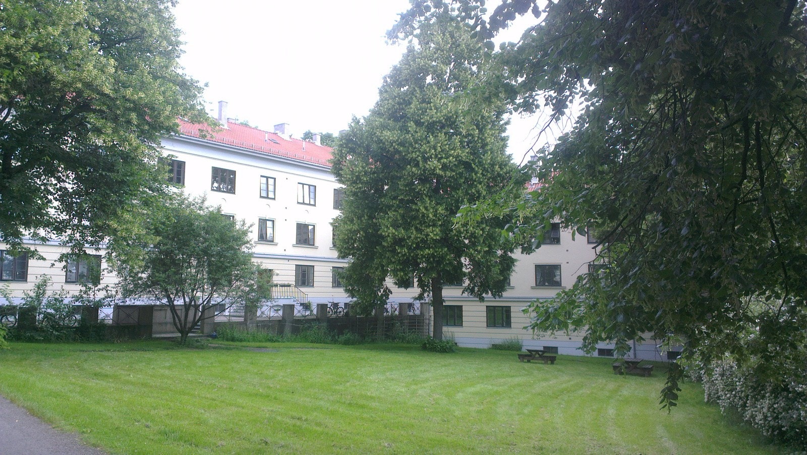 Store frodige fellesarealer. Galleribilde