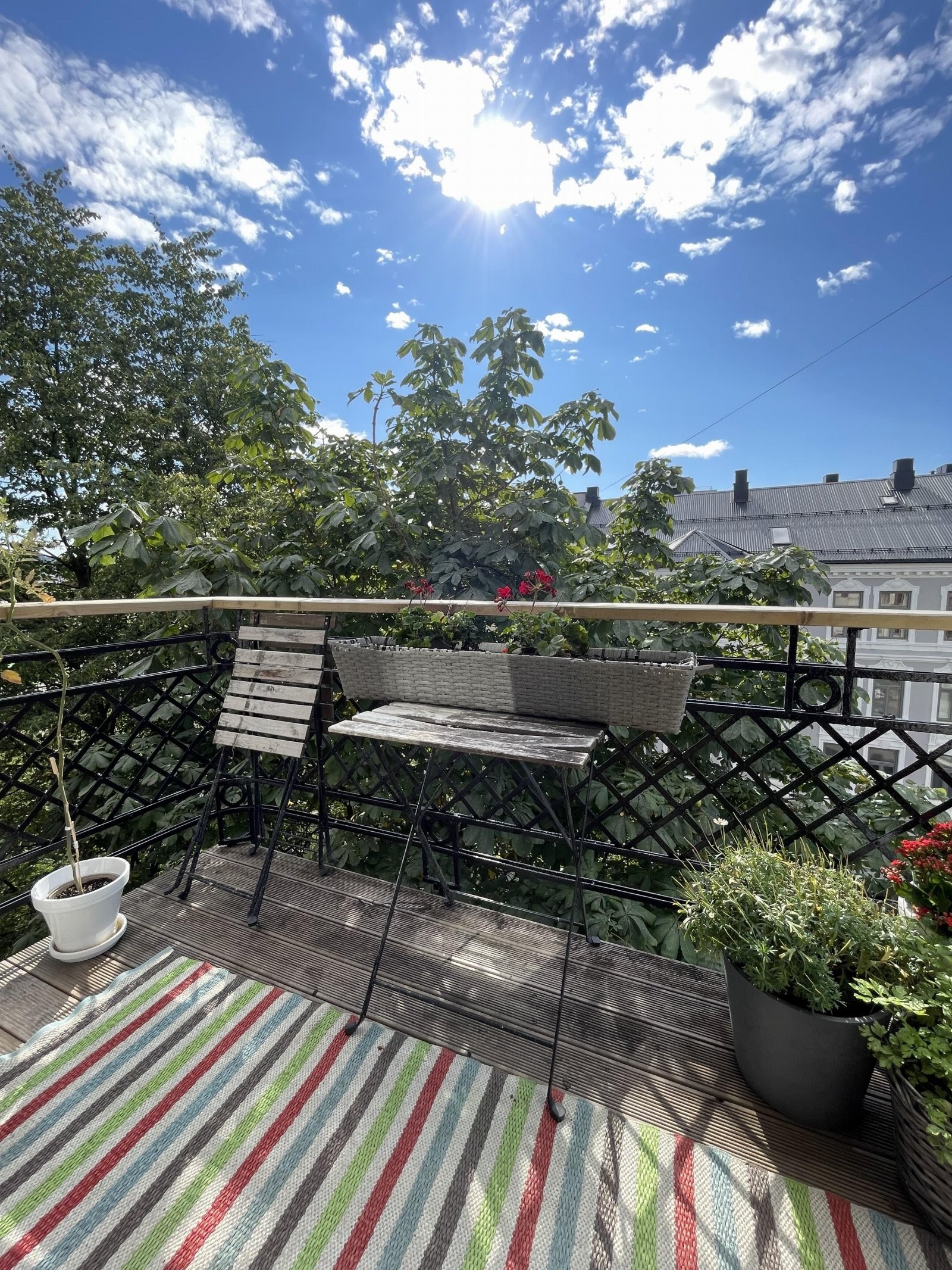 Selgers sommerbilde Galleribilde