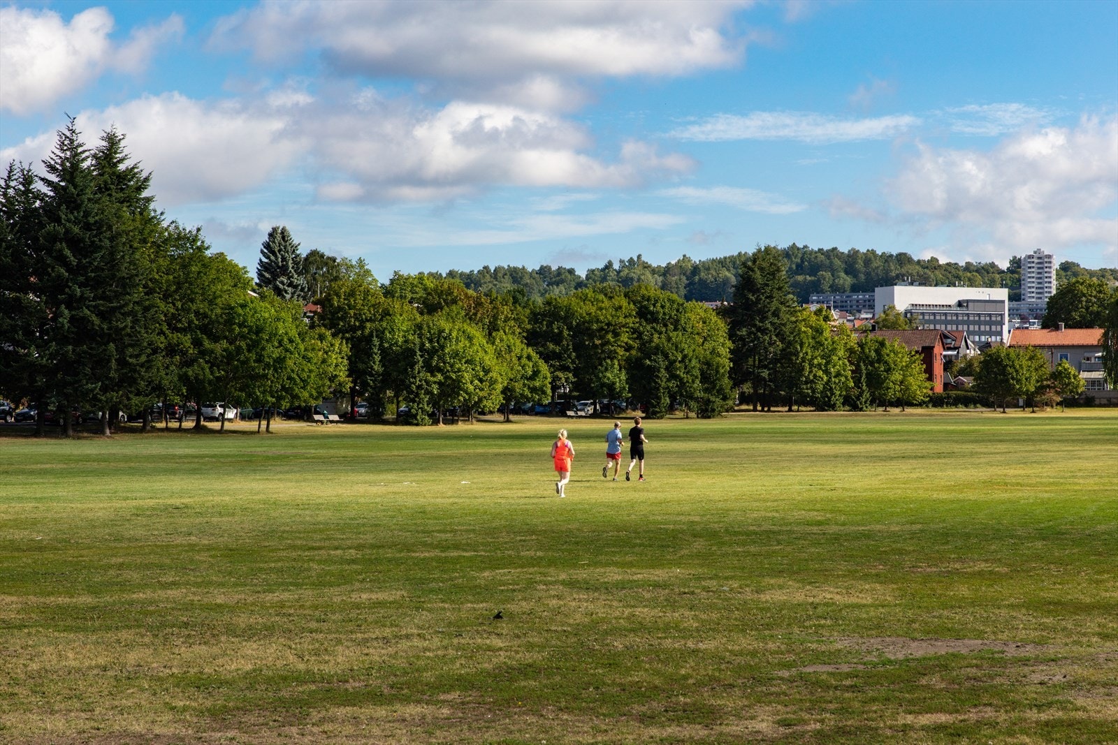 Naturskjønne Voldsløkka som finnes rett utenfor døren hvor Bruce Springsteen tidligere har hatt konserter Galleribilde