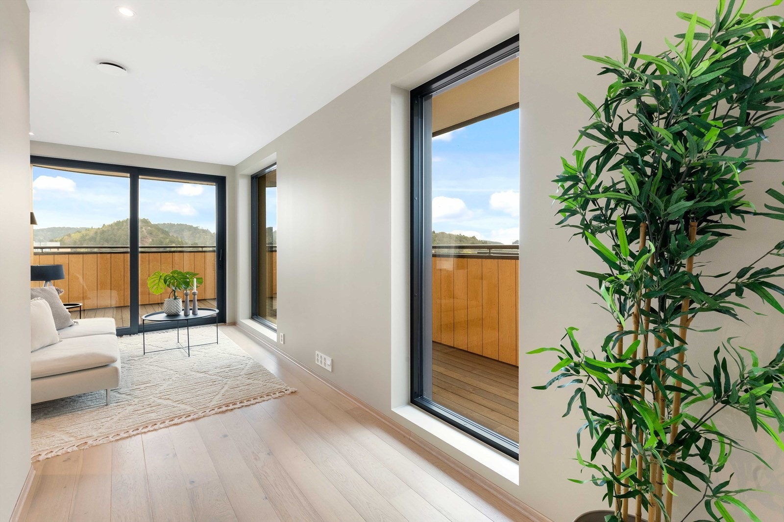 I rommet er det store vindusflater som sørger for rikelig med naturlig lysinnslipp Galleribilde