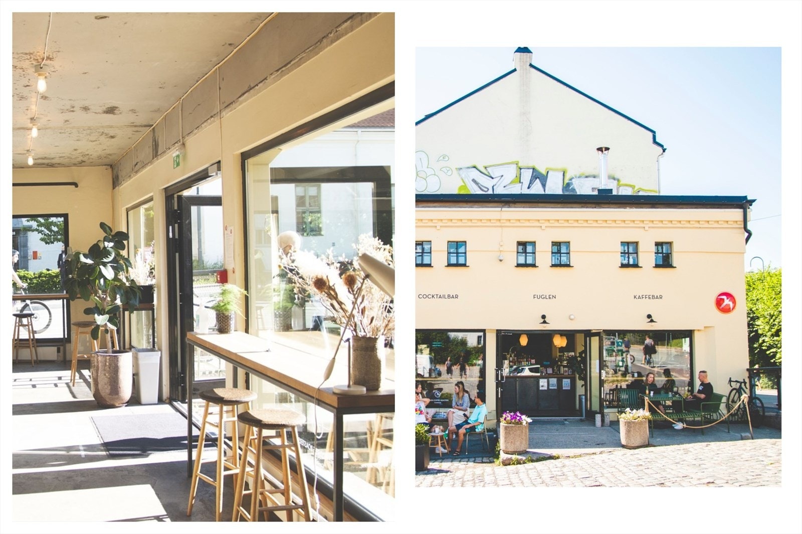 Nærområdet - Fuglen er en kombinert kaffe-, vin- og coctailbar med god stemning og godt utvalg. Galleribilde