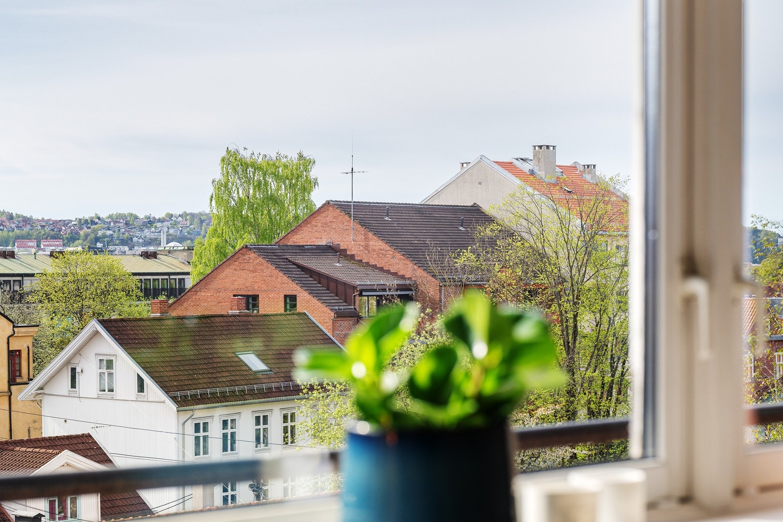 Vinduene byr på herlig utsyn over nærområdet. Galleribilde
