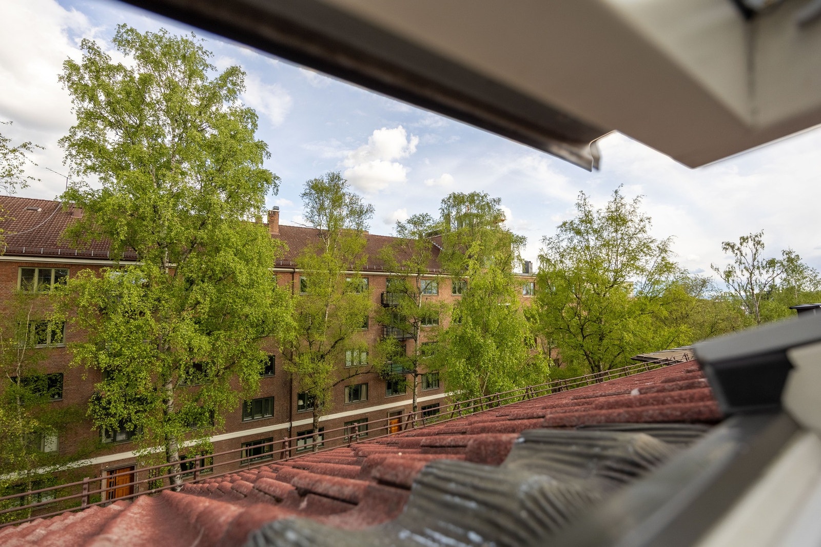 Utsikt fra takvindu. Galleribilde