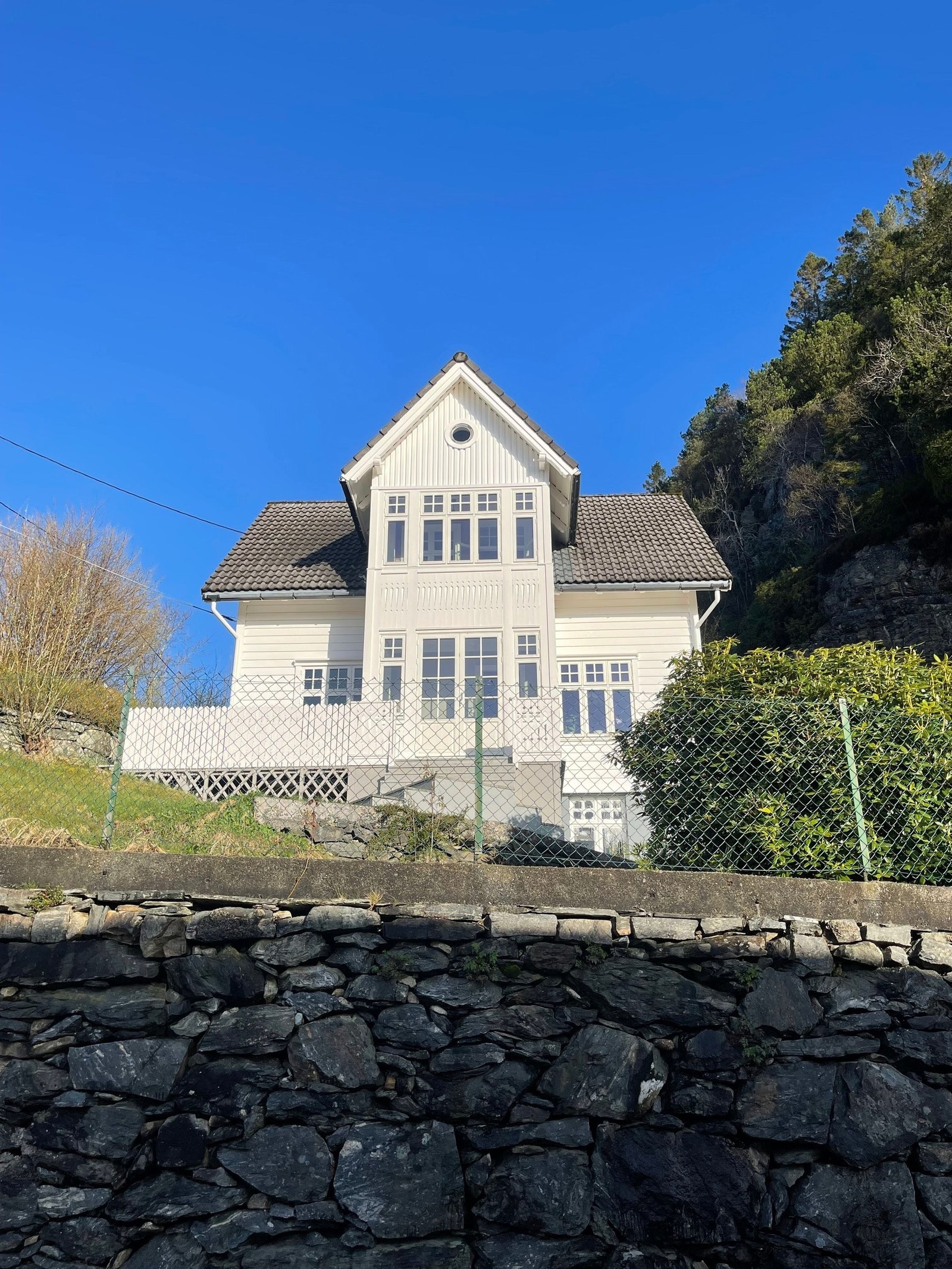 Pen og sjelden Galleribilde