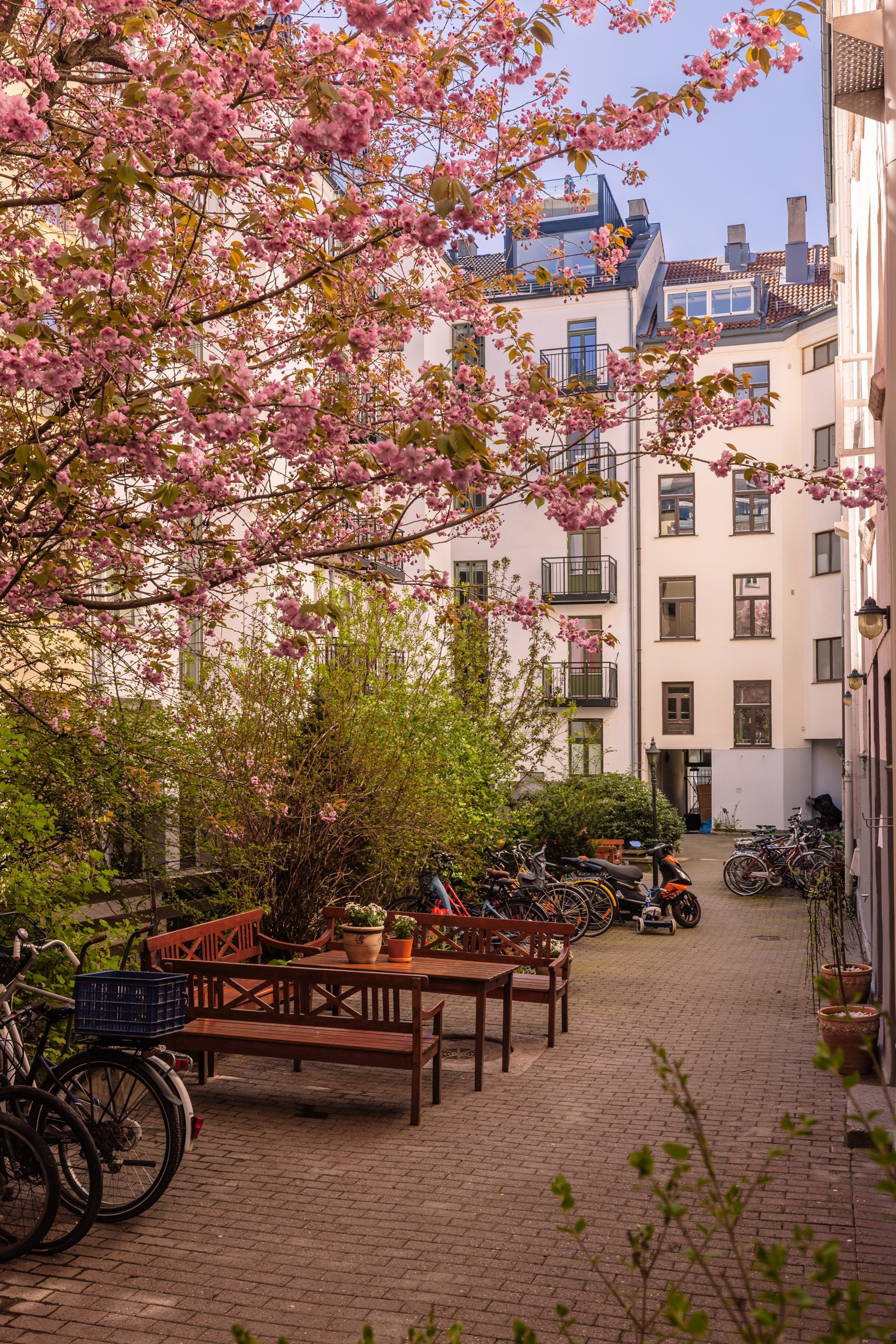 Flere sittegrupper til fri benyttelse for beboerne. Galleribilde