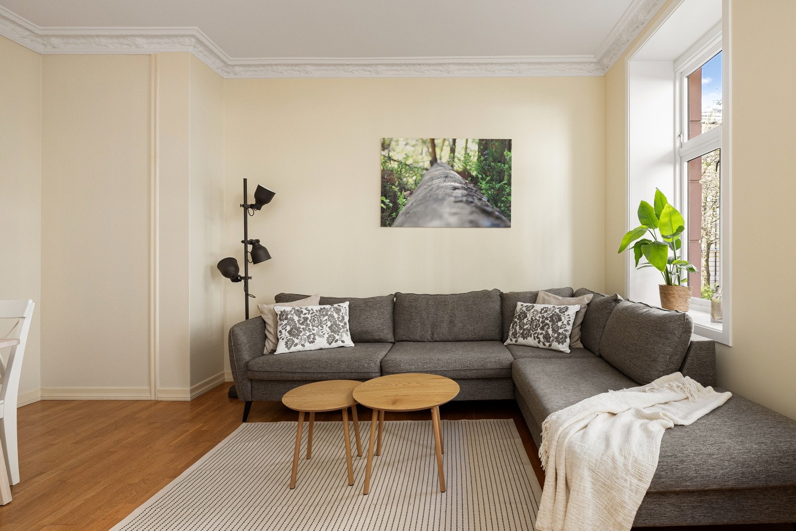 God plass til sofaseksjon med tilhørende møblement. Galleribilde