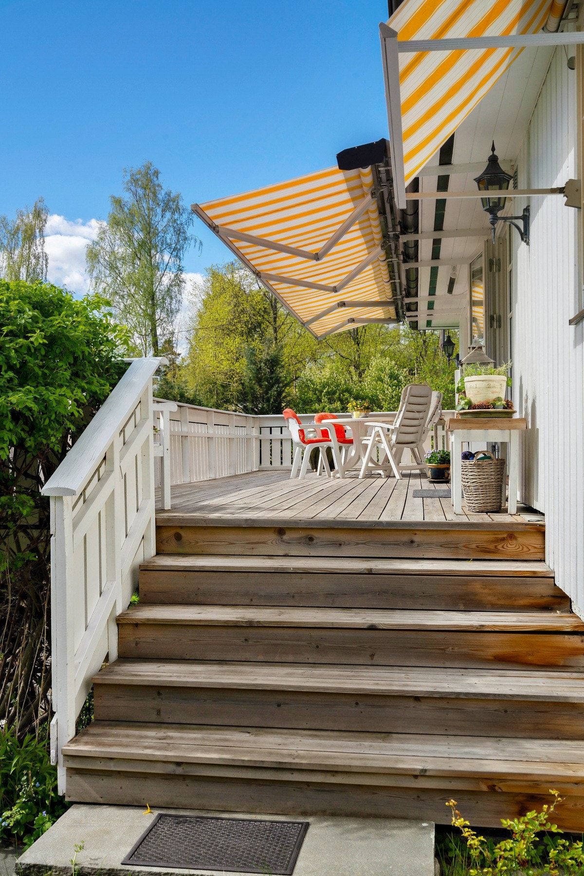 Trappeadkomst til den usjenerte hagen. Galleribilde
