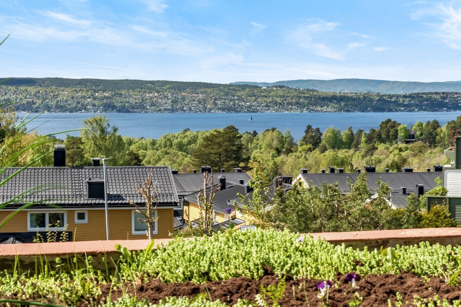Sloreåsen er en skjult perle som ligger på Ljanskollen, vendt mot bunnefjorden. Galleribilde