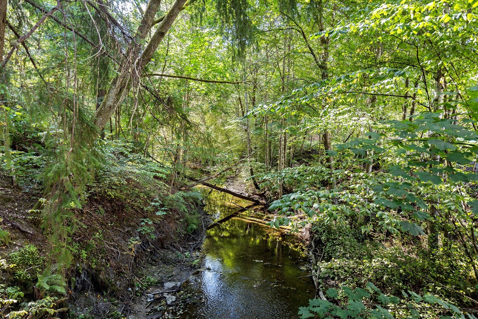 Ljansdalen er et naturskjønt område, kjent for sine idylliske skogstier og vakre landskap. Området byr på flotte turmuligheter langs Ljanselva og er et populært sted for friluftsliv og rekreasjon. Galleribilde