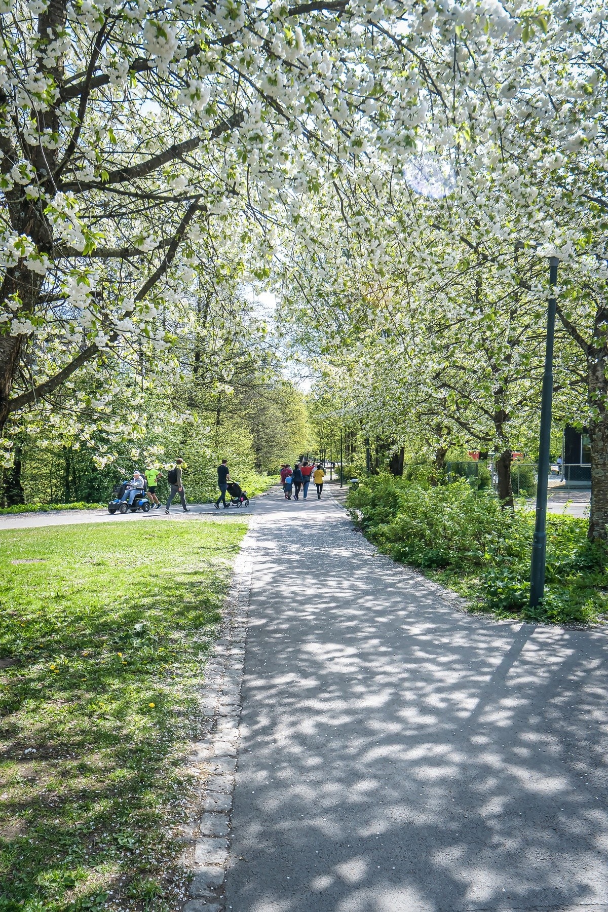 Det er bilfri entre fra Akerselva. Galleribilde