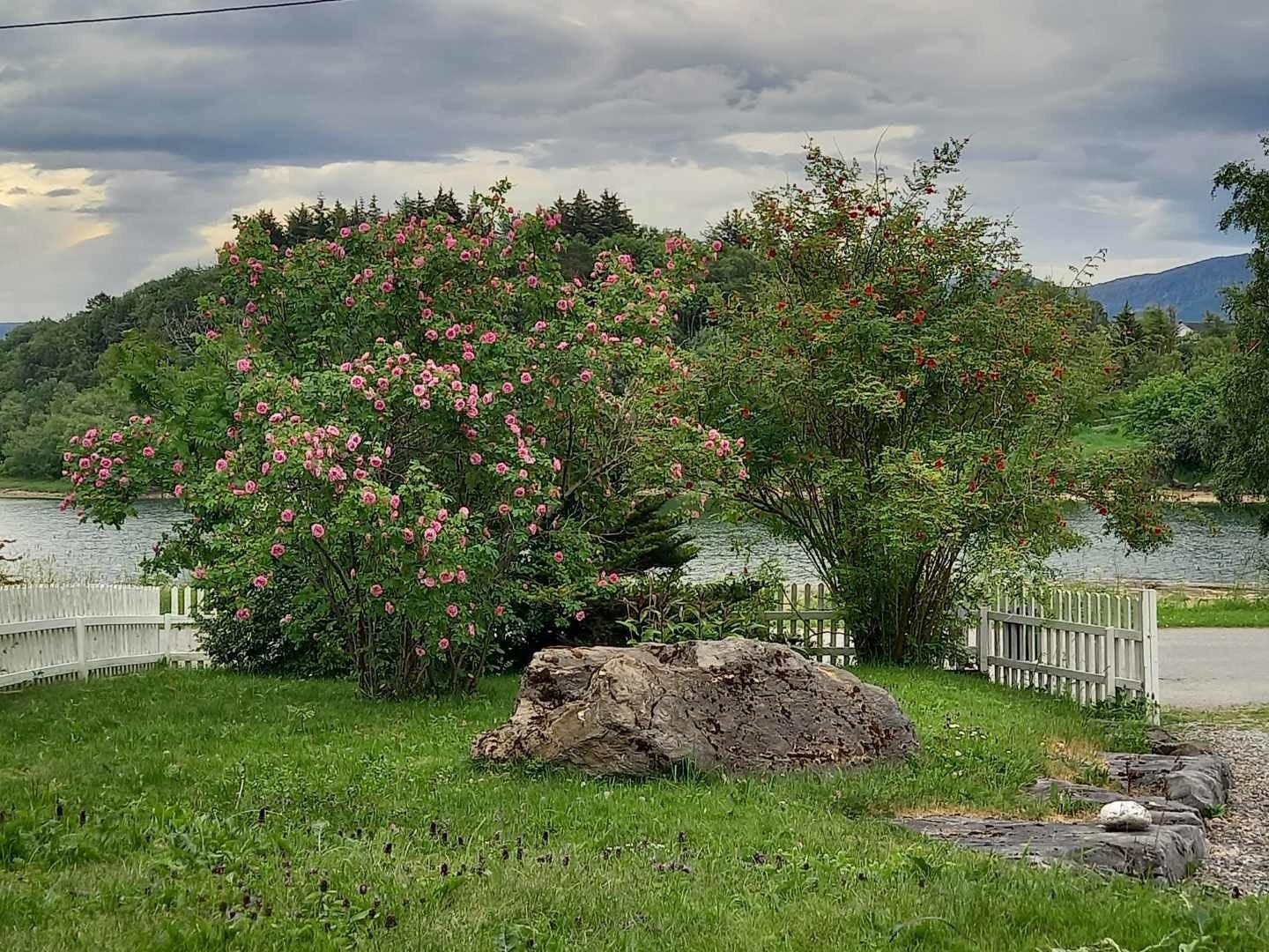 - Privat bilde fra selger - Galleribilde