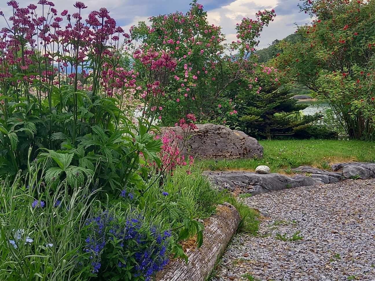 - Privat bilde fra selger - Galleribilde